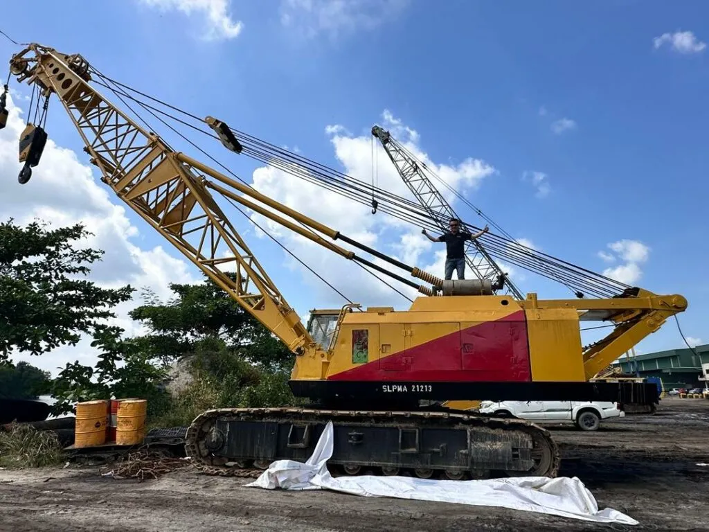 Cranes