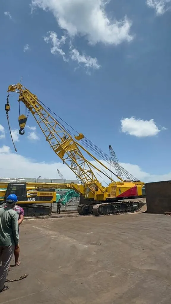Cranes